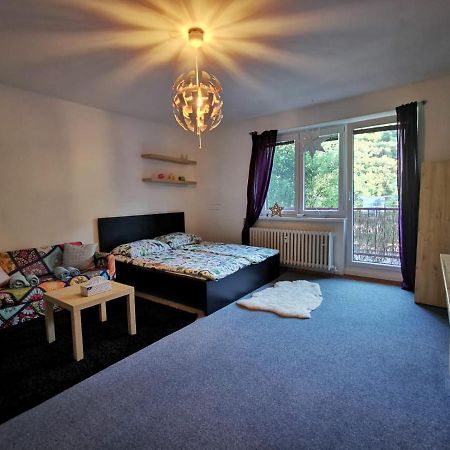 Cely Apartman Podlesi 54M2 S Dvema Balkony A S Novou Manzelskou Posteli, Zatim Neni Na Fotkach Apartment Brno Exterior photo